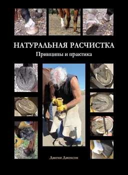 Изображение товара 0