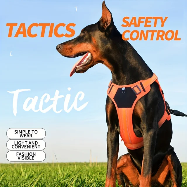 Pettorina No Pull Per Cani - Riflettente, Regolabile, Senza Soffocamento, Taglia XL Verde