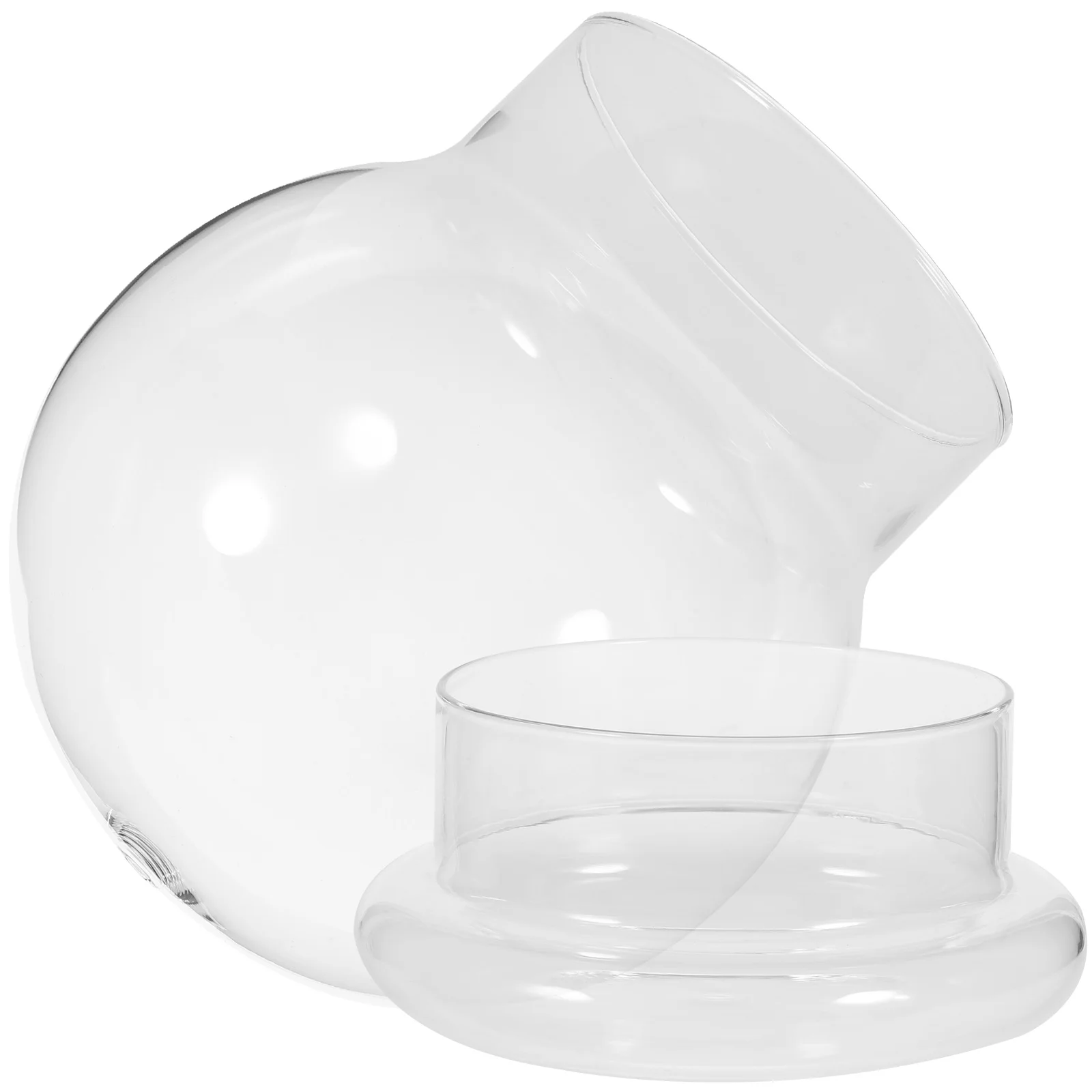 Glass Terrarium With Dome Ecological Bottle For Micro Landscaping Container Bell Jar Vases Home Decor Glass Plants Terrarium 3