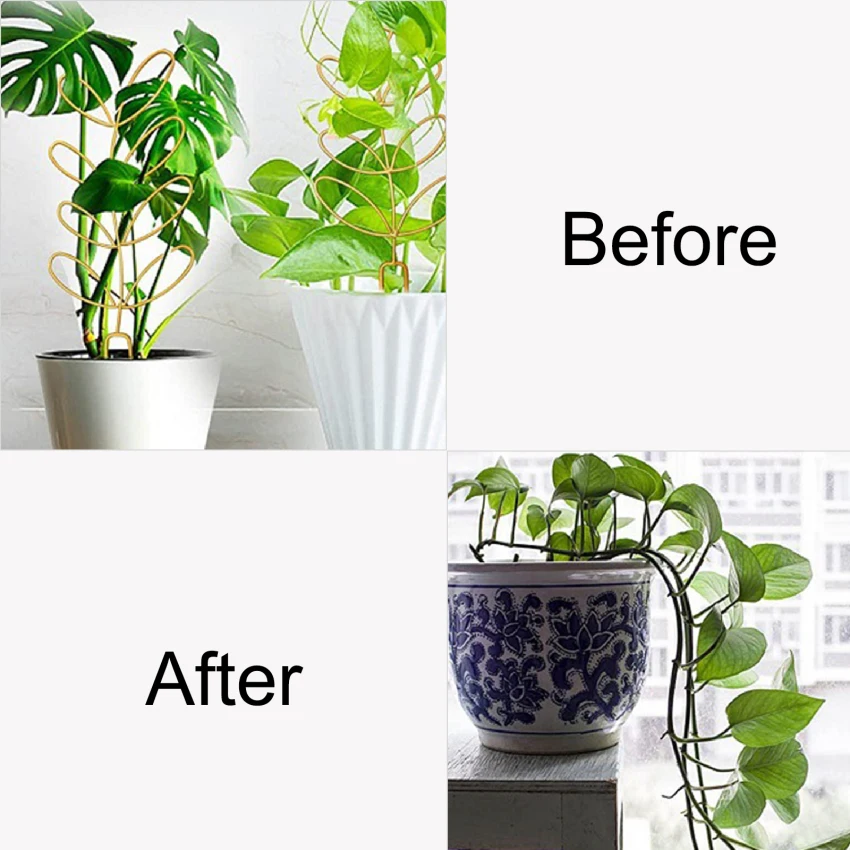 

Metal Trellis for Garden 6Pcs Plant Supports for Climbing Plants Indoor Plant Support Stake for Pots