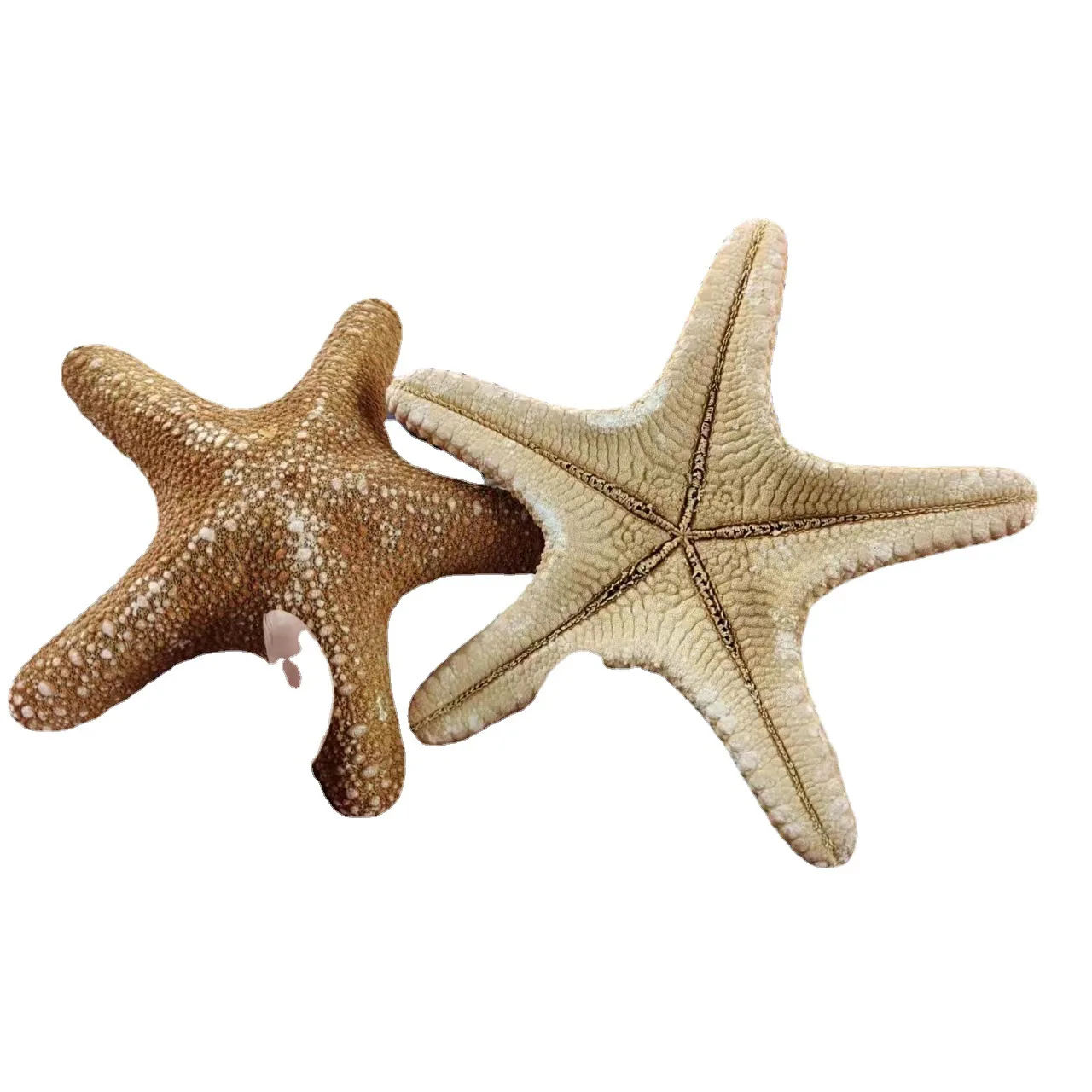Big bread starfish natural conch shell fish tank landscaping window ornaments creative home crafts Starfish