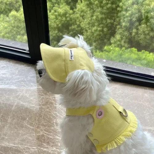 슈퍼 노 햇 귀여운 강아지 옷, 카우보이 개 조끼, 개 의류 셔츠, 치와와 티셔츠, 패션 여름 4