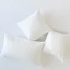 Plain White Square Pillow Napped Cloth Detachable and Washable High Elasticity High Quality Pp Cotton 3D Throw Pillow Core 2