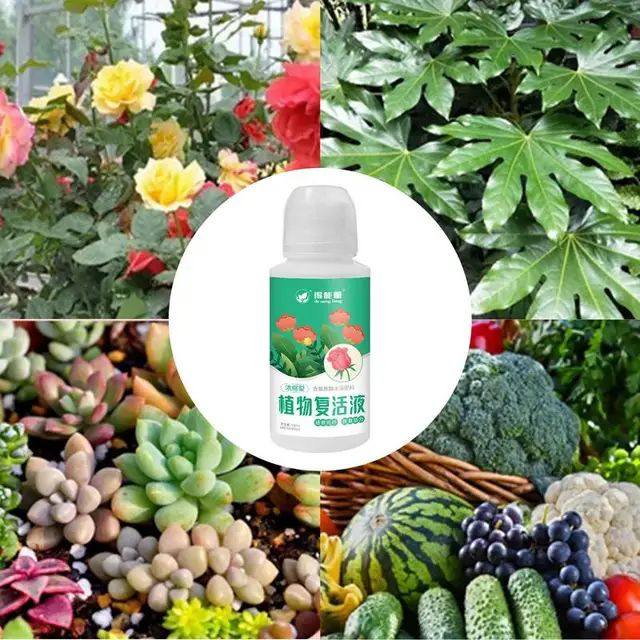 Gyökérhormonok Dugványokhoz | Hynroseeding Kit Zamatos Műtrágya Gyökerező Hormonok Hidróz -Leadási Készlet 100Ml Folyékony Gyökér Stim