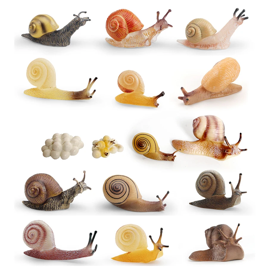 Realistischer Lebenszyklus einer Schnecke, Modellfigur, Schneckenfigur, Partyzubehör, Kuchendeckel, Tischdekoration, Sammlungsspielzeug
