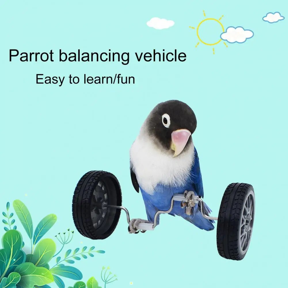 

Игрушка для попугаев, игрушка для тренировок с птицами, миниатюрные двухрядные роликовые коньки для попугаев, товары для интеллектуального развития упражнений для малышей