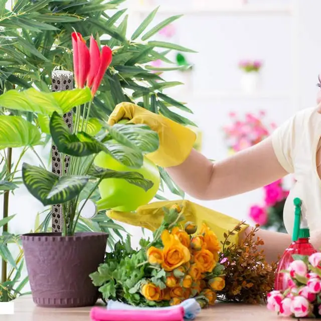 Moss Pólus Növényekhez Monstera Új Egymásra Rakható, Átlátszó Növény Tét Rakható A Beltéri Növények Számára - Image 5