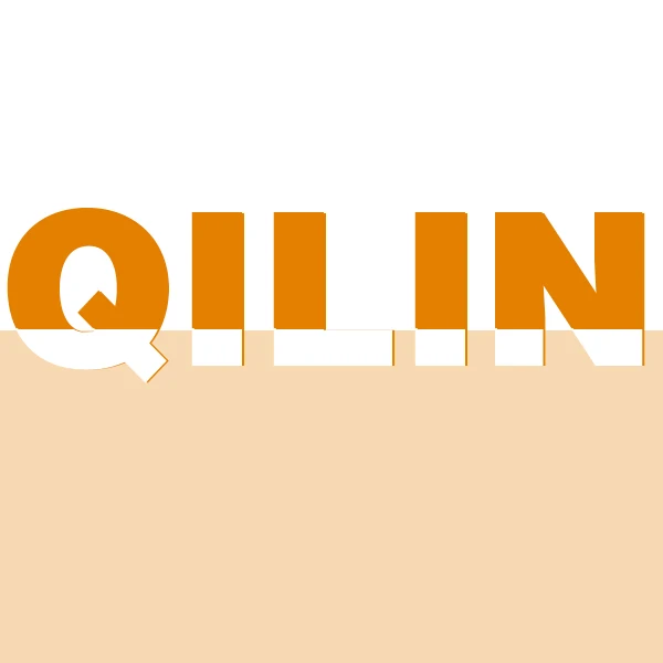 QILIN Accessories Store