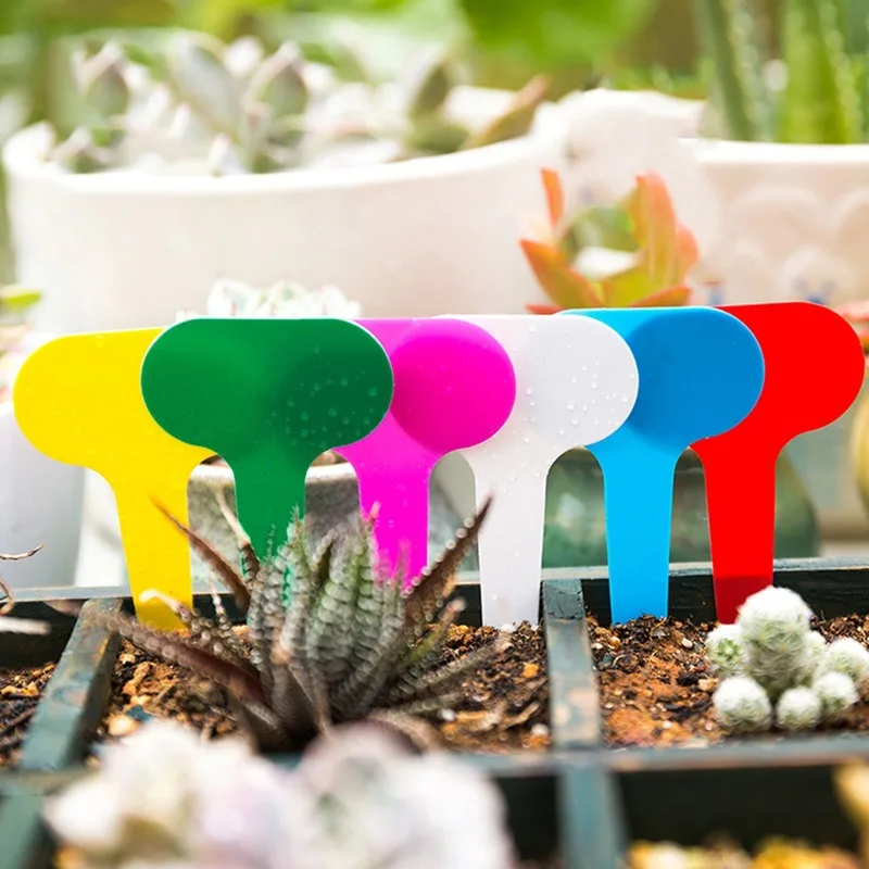 Label Garden Sign Multi Colour Plastic Plant Tag T- Type ...