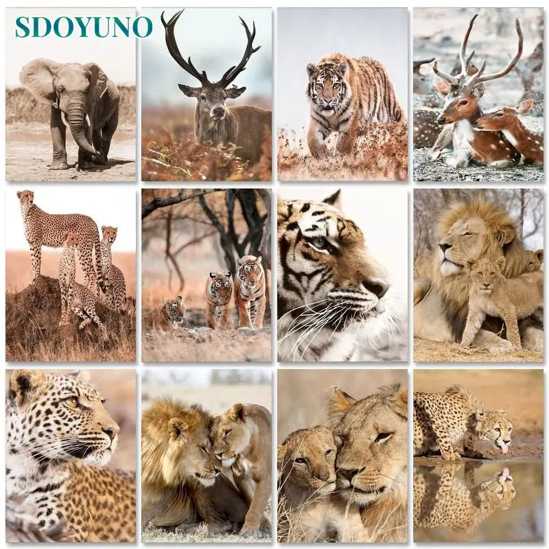 

SDOYUNO Frame Picture Painting By Numbers Desert Lions Animals Handpainted Acrylic Paint With Numbers Modern For Home Decors