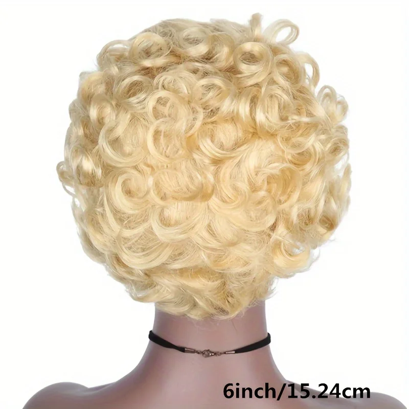613 Blonde Human Hair Wigs curly pixie human hair Wig 13X1 Transparent Lace Wig Pixie Cut For Women Human Hair 150% density