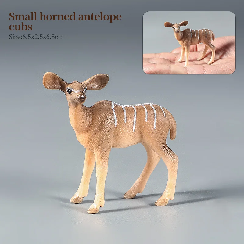 Animal-11