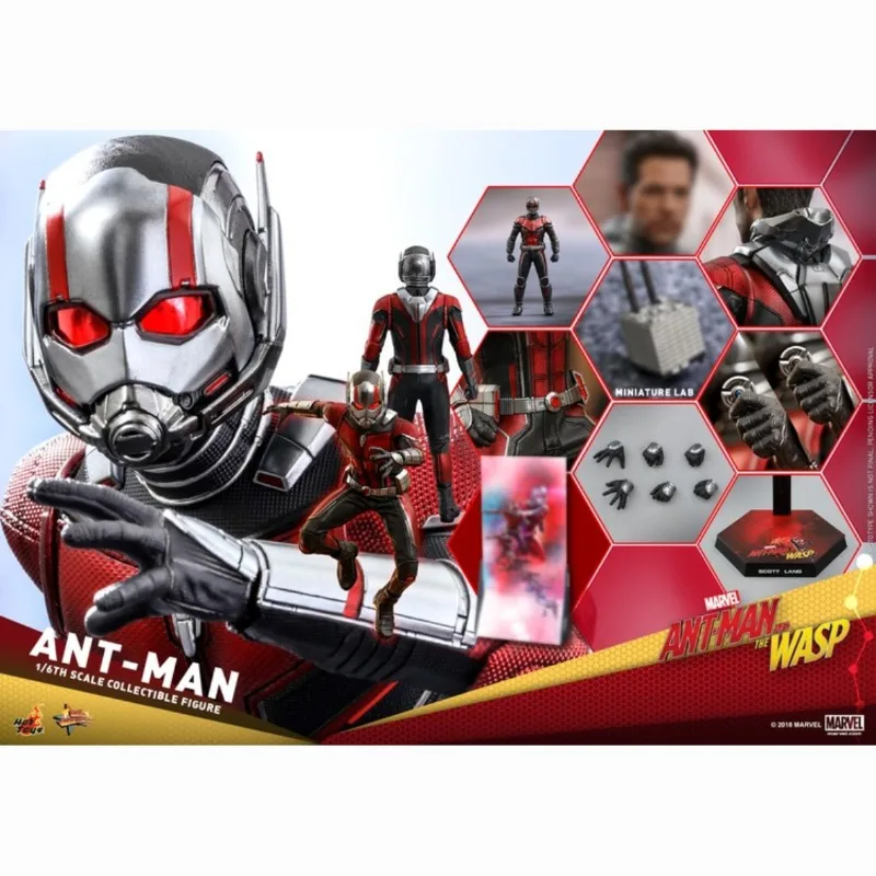 

Goods in Stock Original HotToys MMS497 ANT-MAN 3.0 1/6 Authentic Collection Movie Character Action Model Toys Birthday Gift