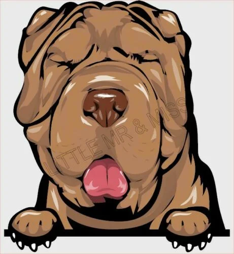 Для SHARPEI Peeking Dog Breed цветная настенная наклейка для ноутбука |