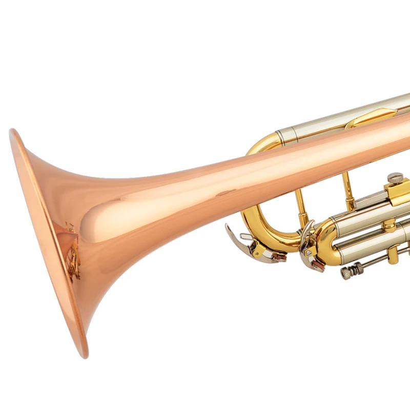 Major Phosphor Bronze Tube Body Prices Trumpet Band Musical Instruments Trumpet Instrument Brass