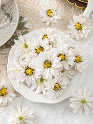 Set of 10/20 Small Daisy Artificial Flowers for Home and Event Décor (COLOR 2)