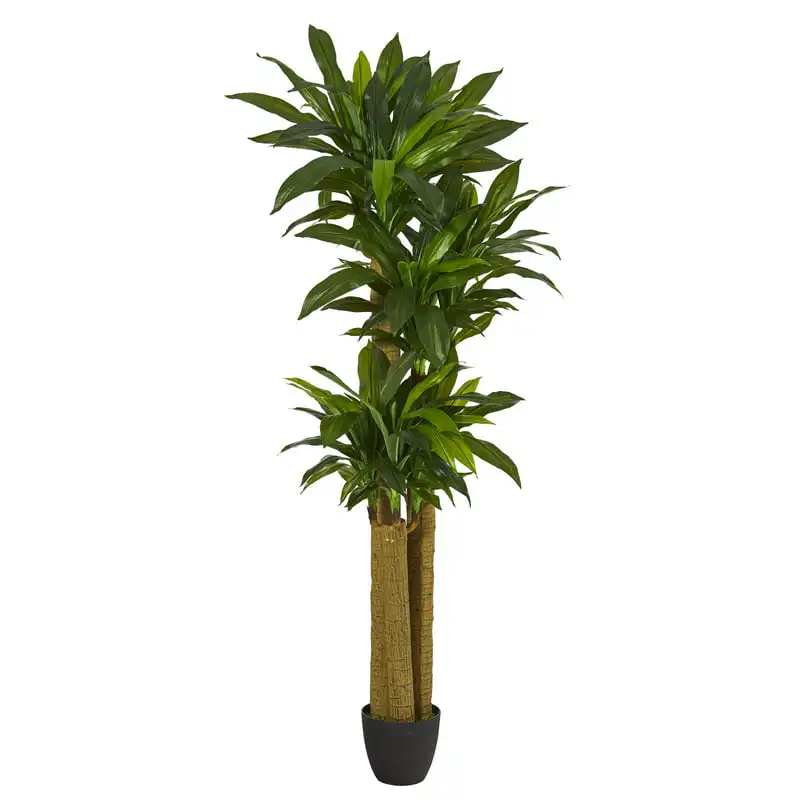 

6' Corn Stalk Dracaena Artificial Plant (Real )