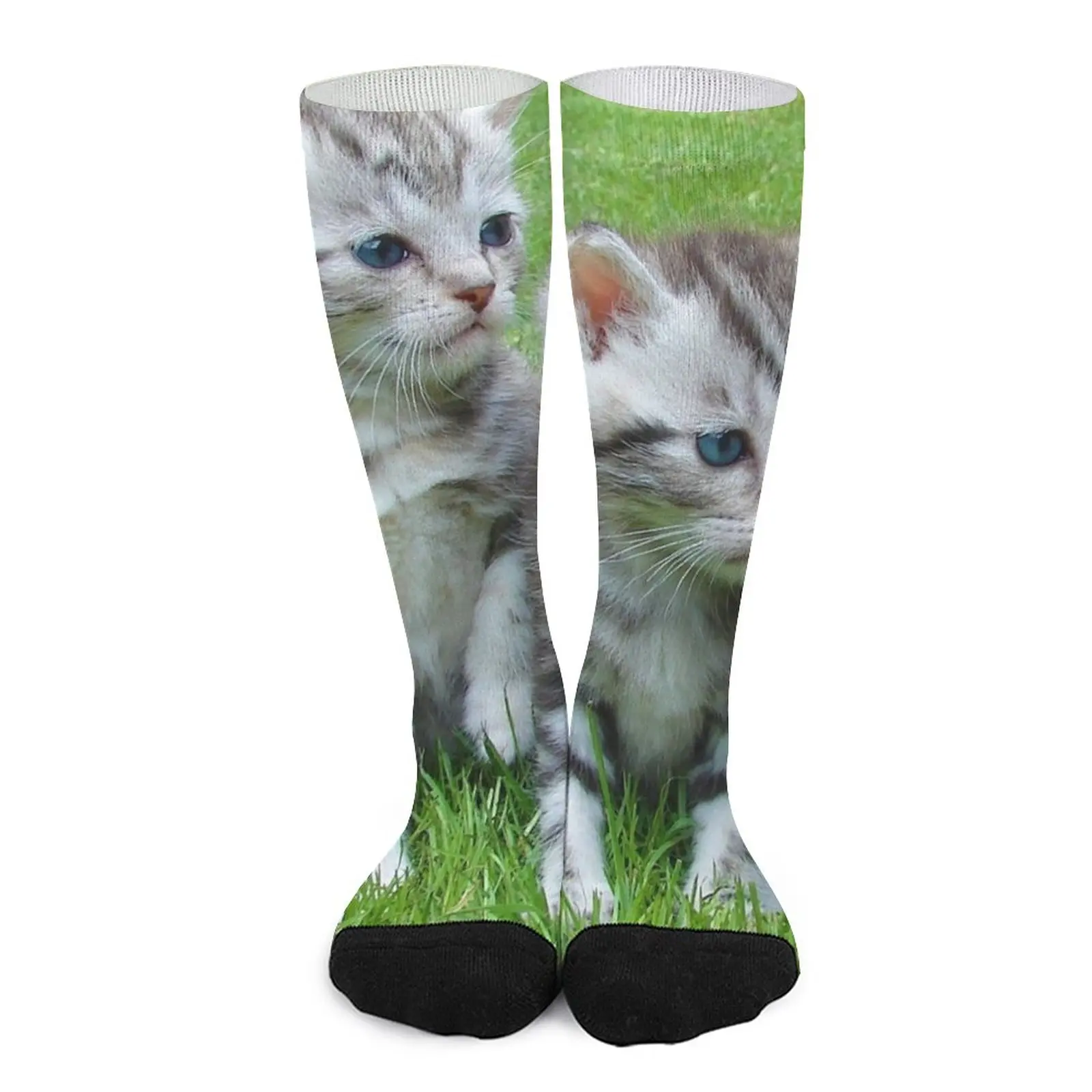 Cute Kittens Socks Women's socks Christmas