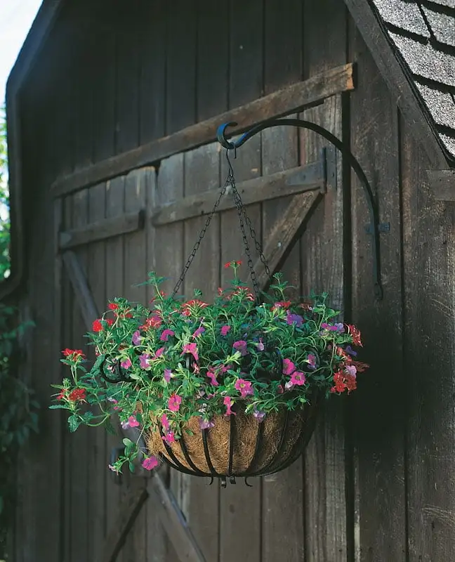

Forged Black Iron Curved Plant Hook