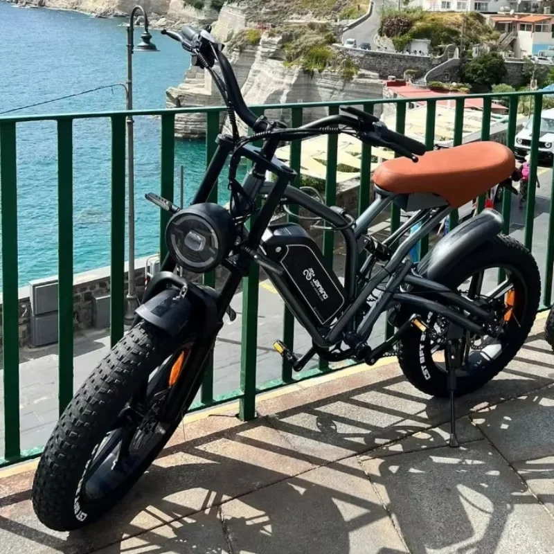Ebike X50 European stock 1000W motor 48V14AH imported battery 20 inch fat tires mountain off-road city electric bicycle electric bike electric bicycle