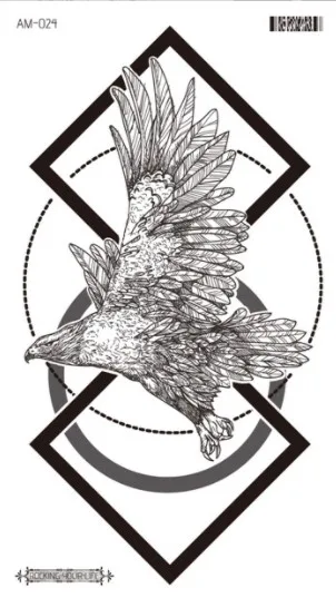 Image 31