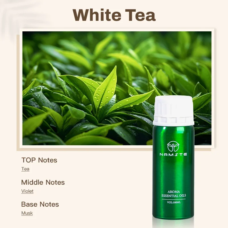 Aceites esenciales 100ML Las mejores marcas Perfume Hogar Difusor de aroma eléctrico Aromatizador de ambiente Ambientador Namste Scent Machine