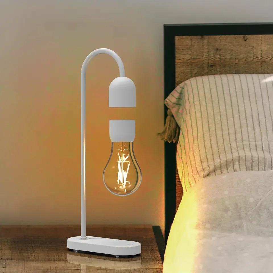 Рисунок 3 - Магнитная левитация