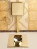 #Golden Toilet Flushing Cistern Ceramic Toilet Anti-Blocking Deodorant Concealed Squat Toilet Squat 2