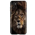 Case-c31