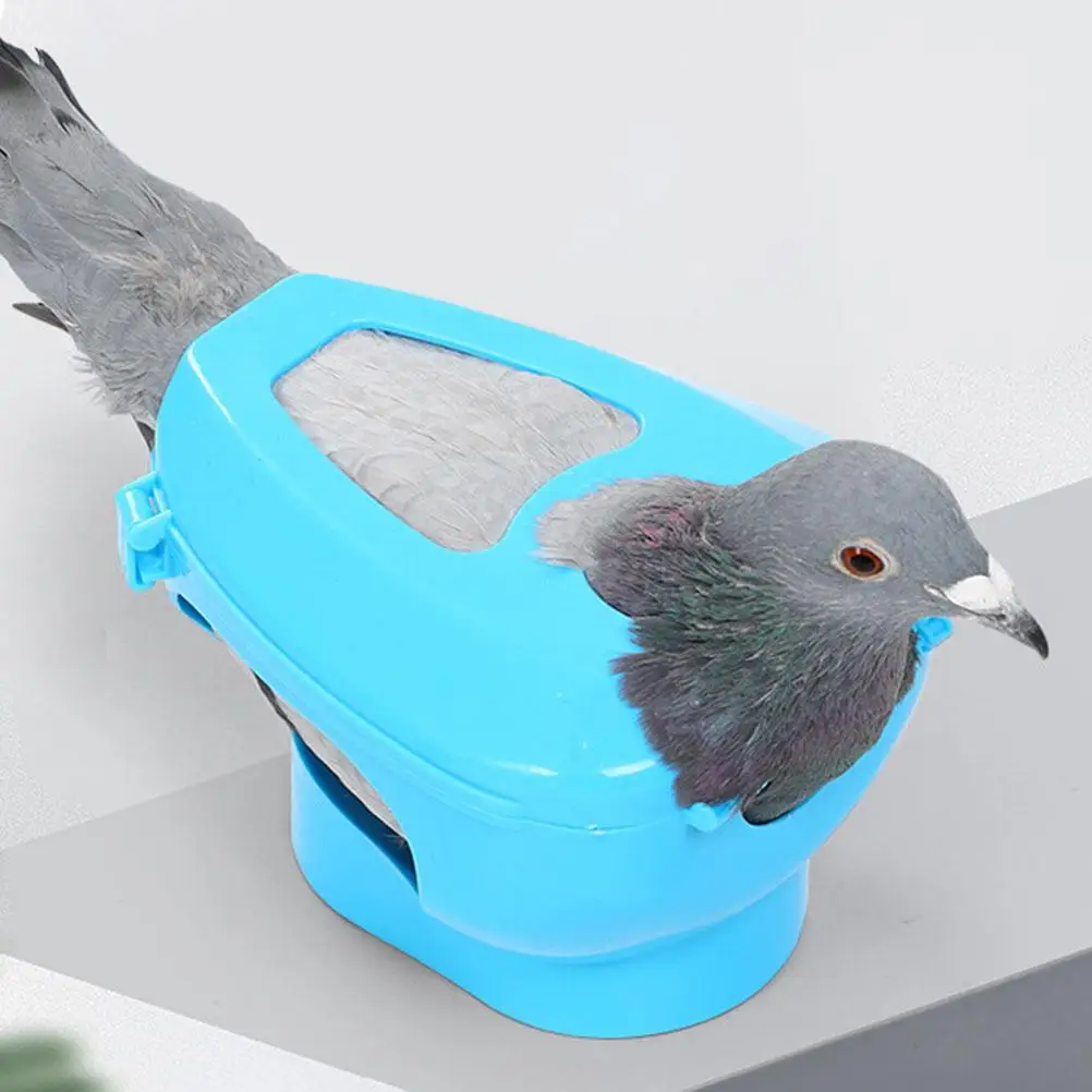 Pigeon Retainer Feeding Holder Plastic Fixed Frame for Injection Medication Eye Examination Banding Storage