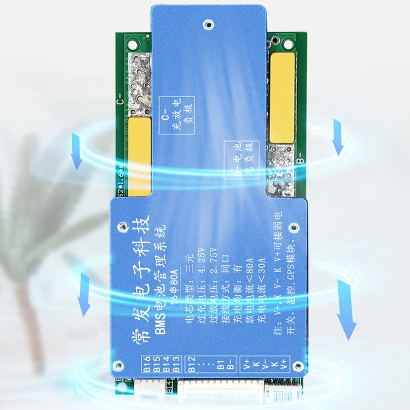 Ƭ ͸ ȣ ,   ͸ ý,  GPS Ʈ BMS , 16 ø 60V