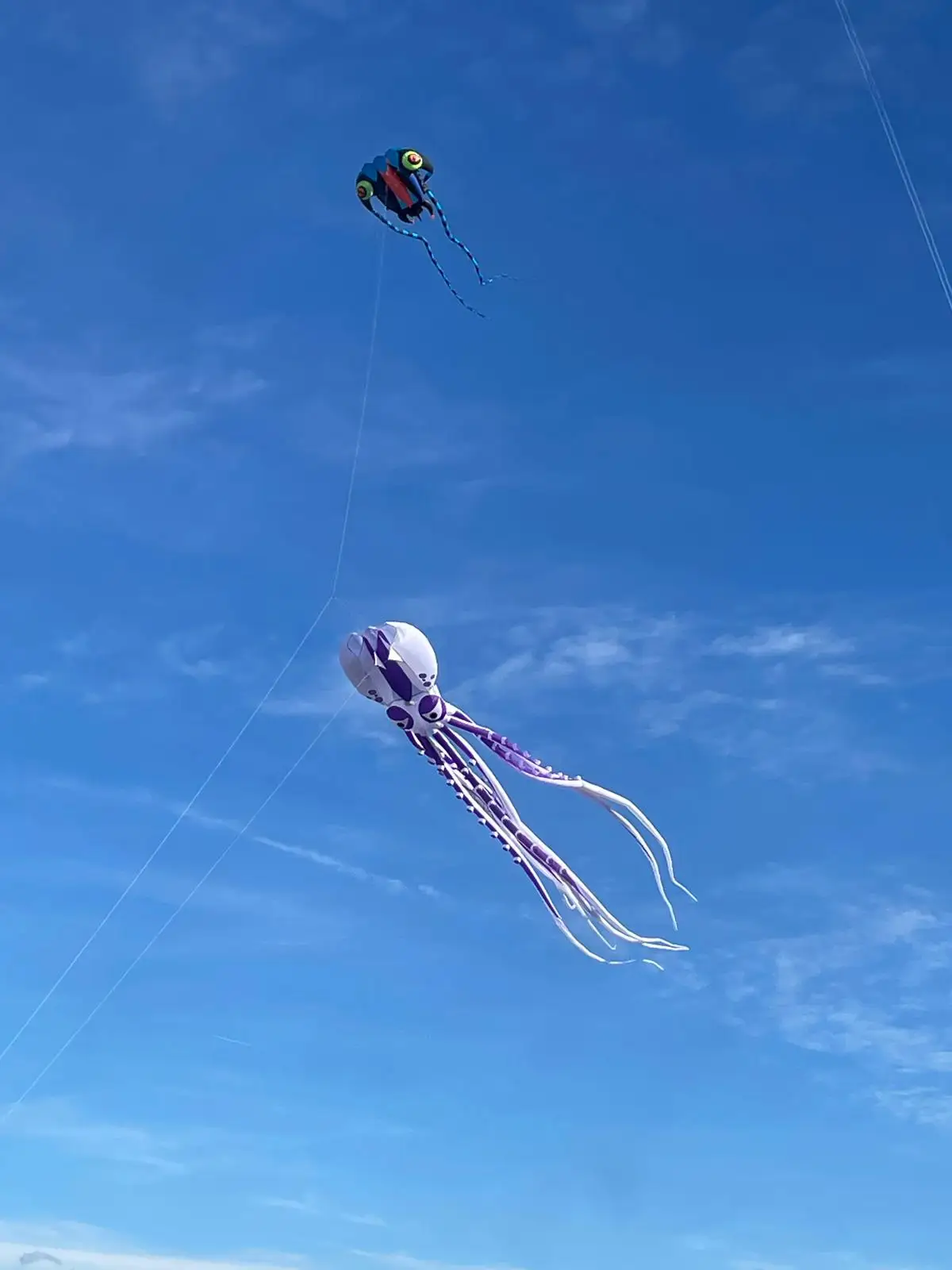 Show kite 18m LED soft octopus big inflatable kite flying kites with lights for adult with battery 30D Ripstop Polyester Fabric 6