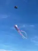 Show kite 18m LED soft octopus big inflatable kite flying kites with lights for adult with battery 30D Ripstop Polyester Fabric 6