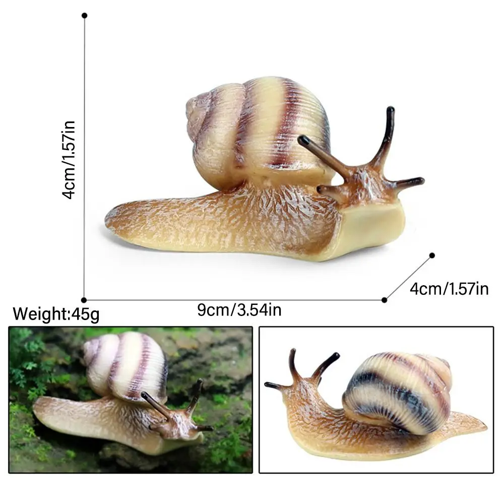 Teaching Tool Desktop Ornament Decor Garden Decor Snail Statue for Fairy Garden Snail Figurine Toy Mini Animal Figures