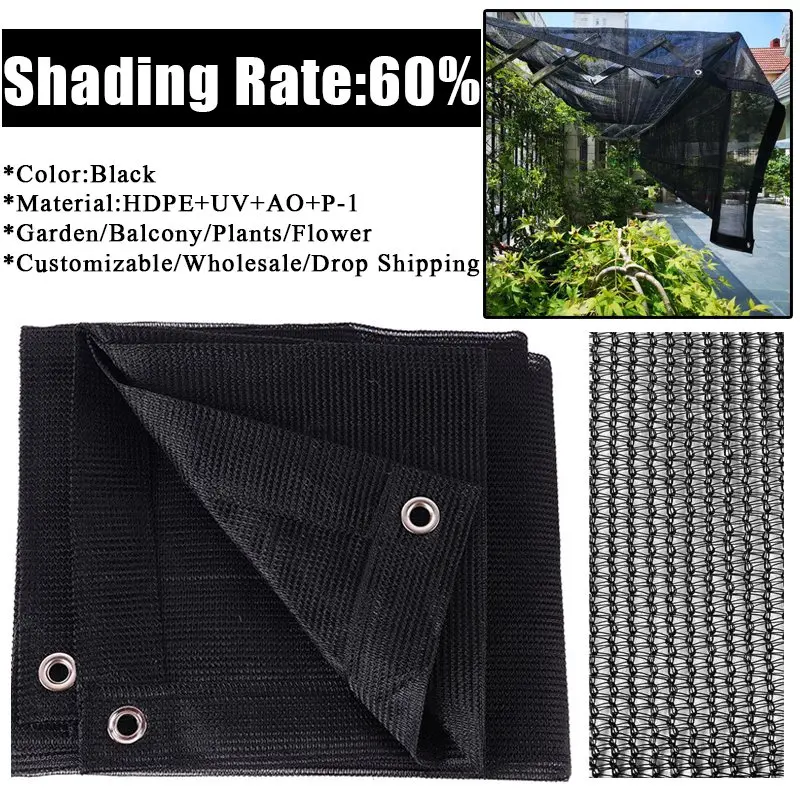 60-Eyelets-Edge