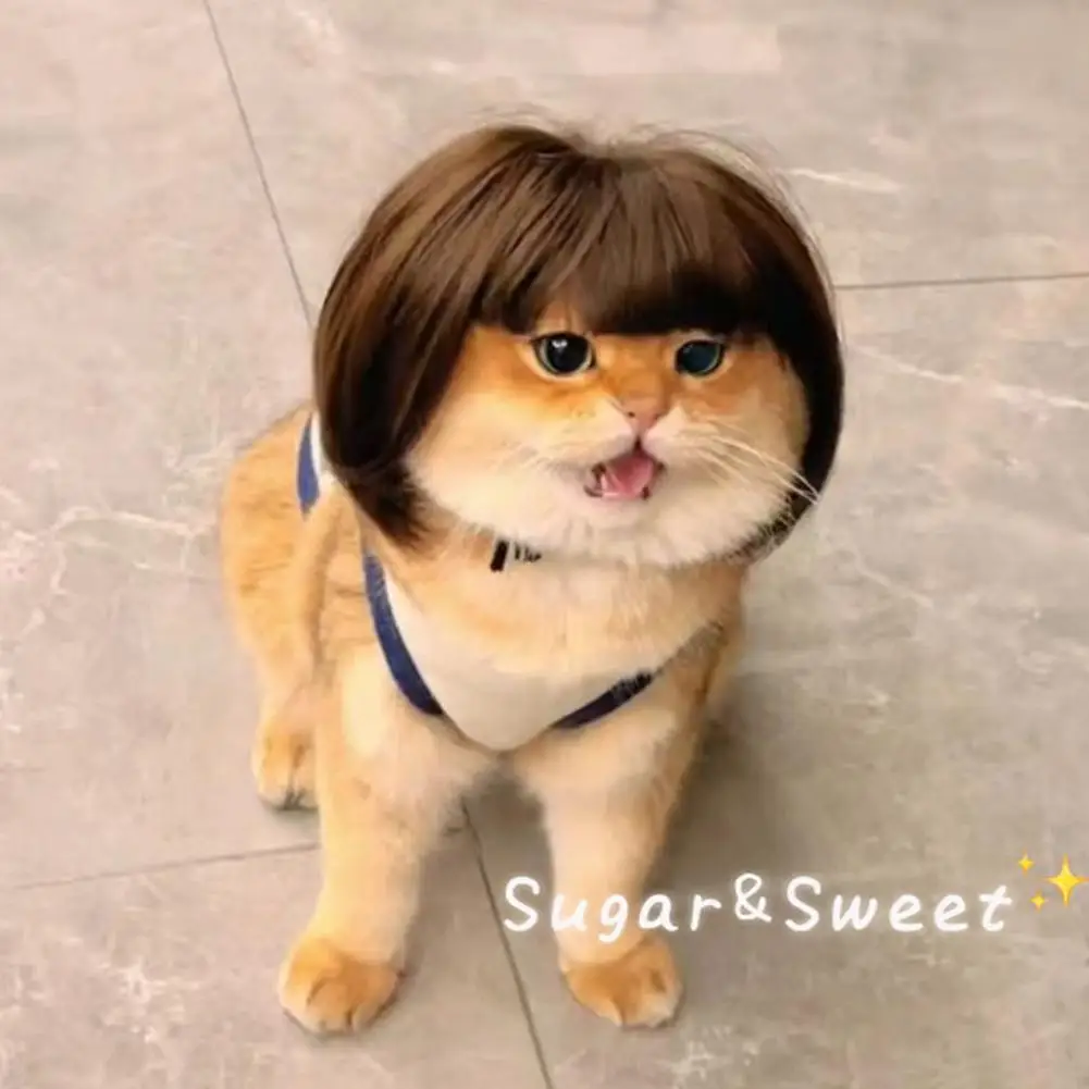 Pet Wig Cosplay Accessories Cat Dog Headdress Puppy Costume