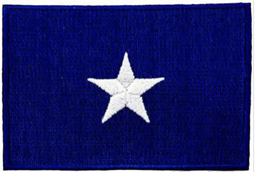 

BONNIE BLUE FLAG PATCH TEXAS STAR SOUTHERN FLORIDA REPUBLIC embroidered iron-on ≈5.5-3.8cm