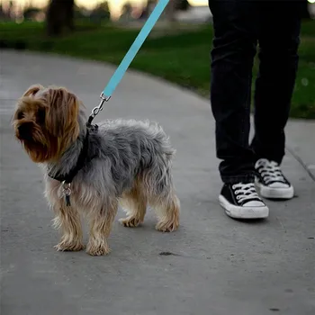 Retractable Pet Car Seatbelt 4