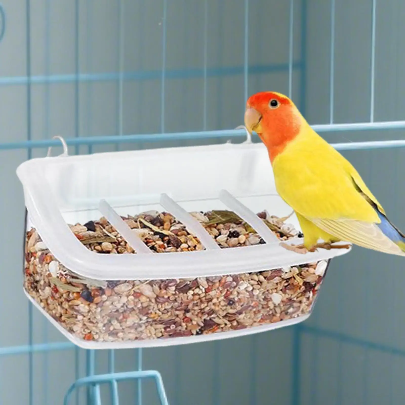 Parrot Feeder for Cage Clear Accessories Washable 360 Degree Visibility Outdoor Easy to Install Bird Food Bowl Feeding Dish