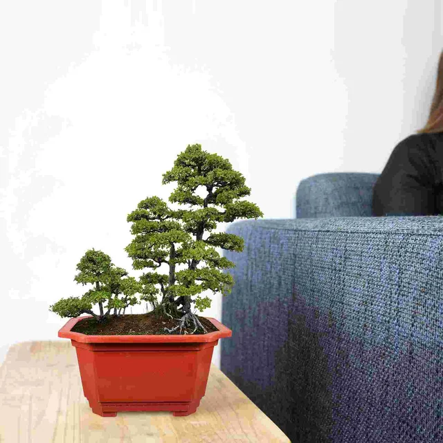 10Db Multifunkcionális, Kényelmes, Téglalap Alakú Újrafelhasználható Virágpot Bonsai Pot Ültetvény - Image 2
