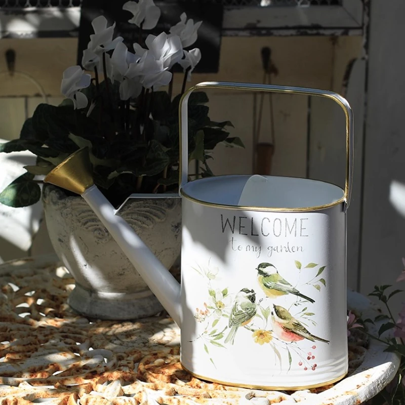 Wrought Iron Watering Can Long Spout Large Capacity Garden Kettle Home Succulents Indoor Outdoor Plants Patio Flower Care jardin