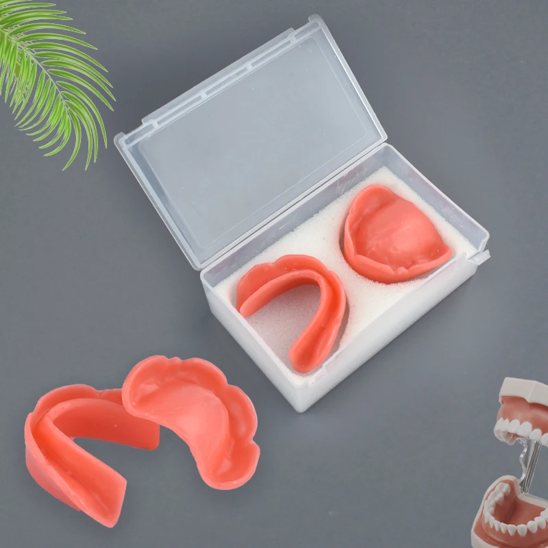 

1pcs Dental Wax Embankment Model of Edentulous Jaw Soft Wax Dental Model Student Learning Teaching Model