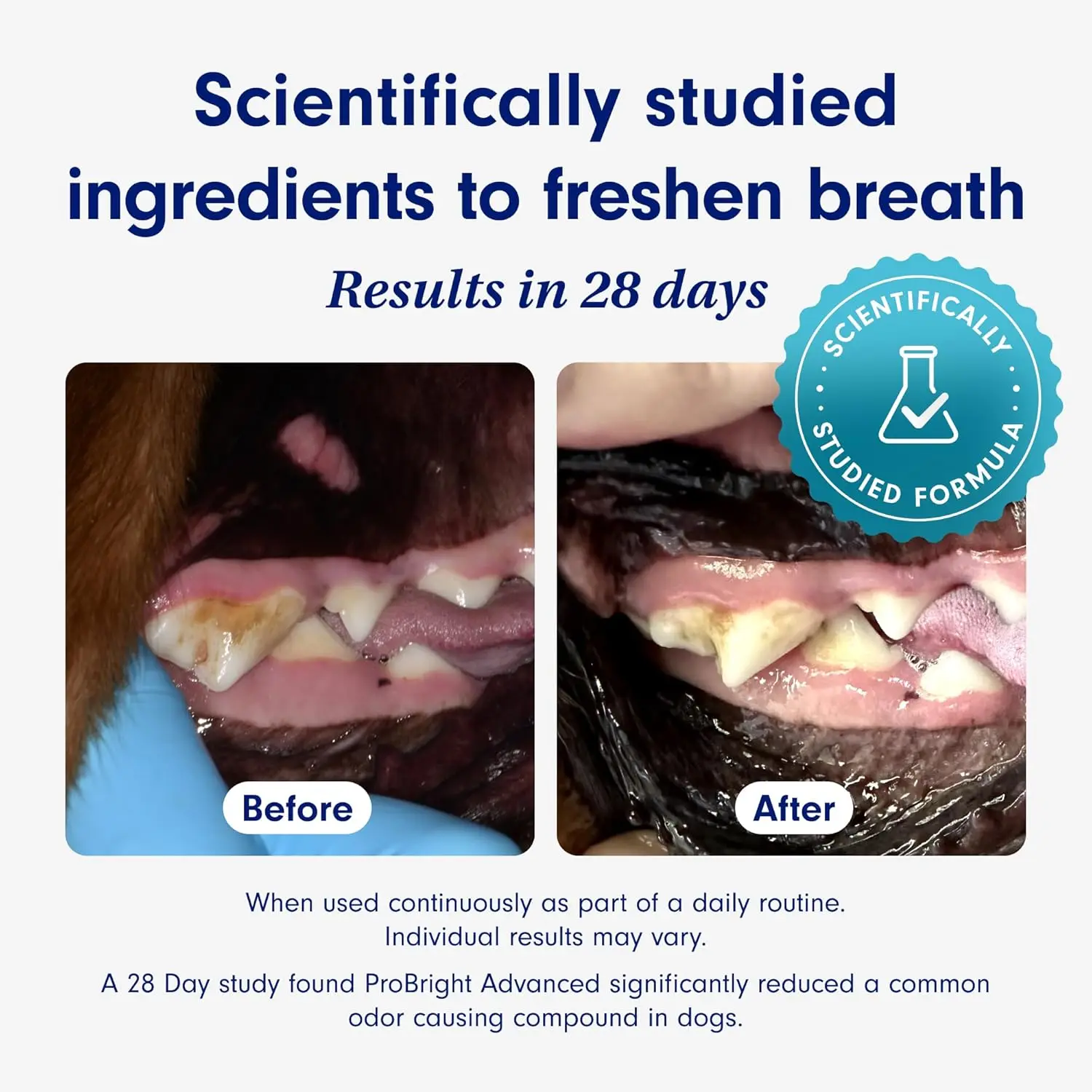 ProBright Advanced Dental Powder-Dog Breath Freshener-Teeth Cleaning Made Easy &ndash; Targets Tartar & Bad Breath Fo