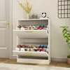 Shoe Cabinet with 2 Flip Drawers - Narrow Shoe Storage Cabinet for Entryway, Freestanding Hidden Shoe Organizer 1