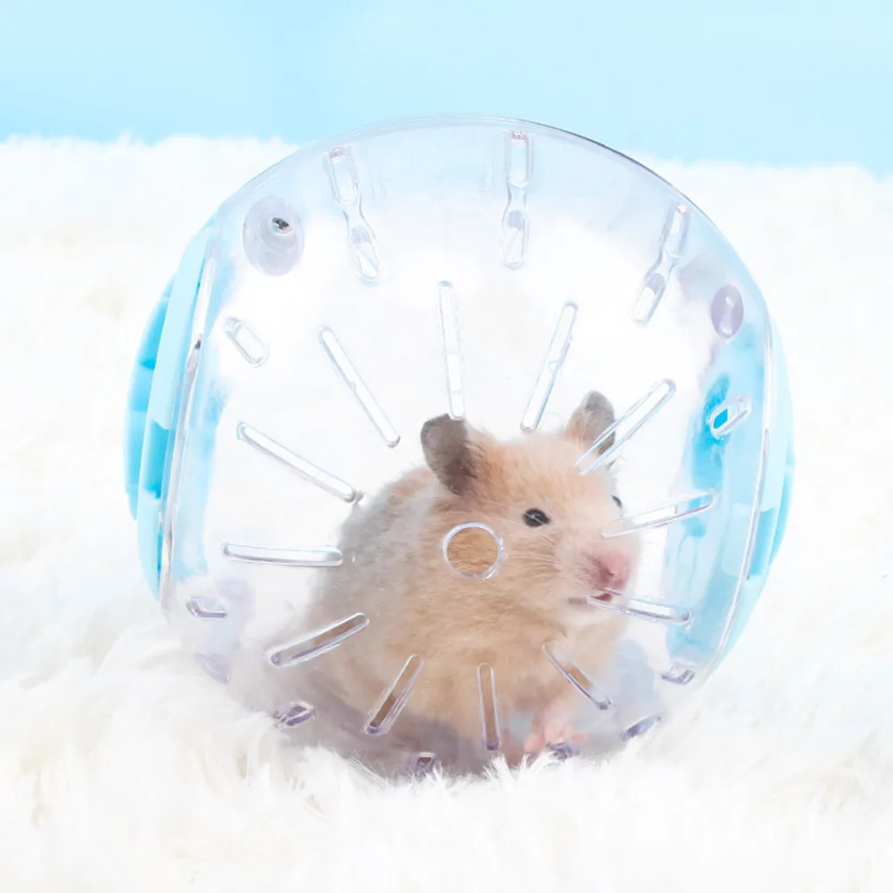 Small Pet Plastic Ball Toy 2 Small Pet Plastic Ball Toy 2