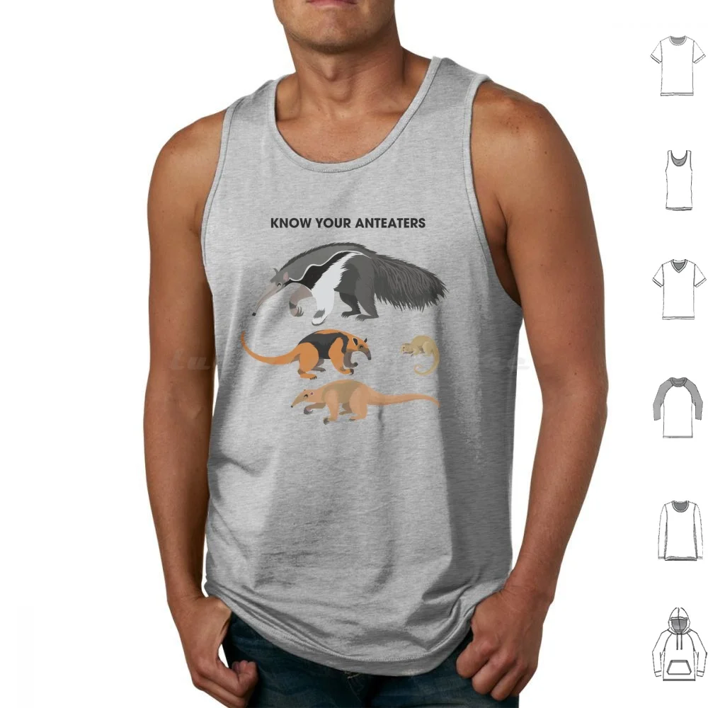 

Знакомьтесь с вашими антеннами, майки, жилеты, антенны без рукавов, знают о ваших видах, ксенартрианс, таманда, Северный Южный пигми, шелковистый