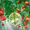 50-100pcs Plant Clips for Climbing Plants Tomato Clips for Hanging Plant Supports Plant Support Clips Hanging Plant Tool 5