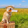 Funny Cigarettes Dog Toy Imitation Cigar Chew Toy Interactive Plush Dog Chew Toy Funny Stuffed Dog Toys Novelty for Chewing 5
