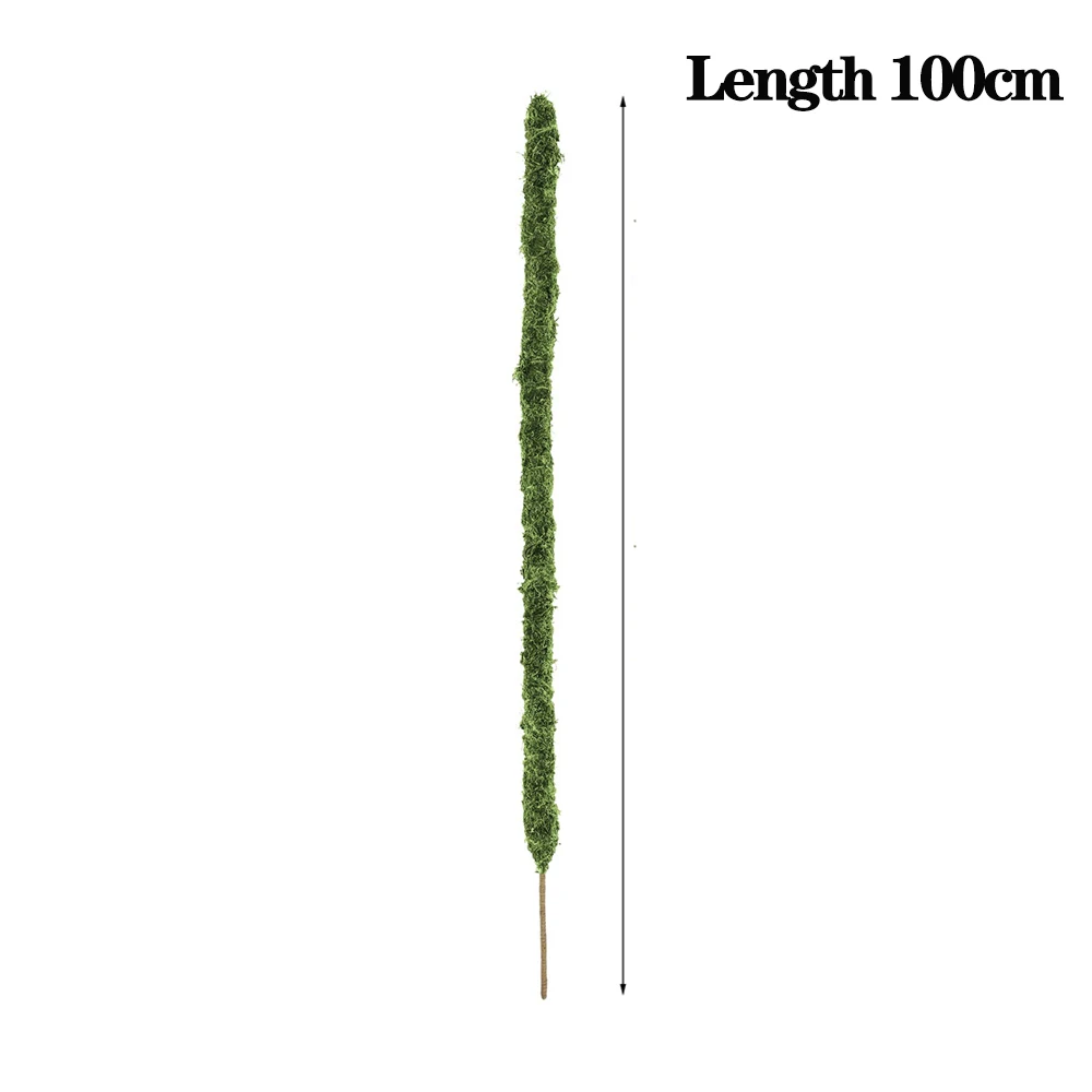 100CM