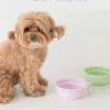 Pets Go Out Folding Bowls for Dogs Outdoor Drinking Bowls for Dogs Portable Silicone Bowls Folding Cat Bowls Dog Bowls 3